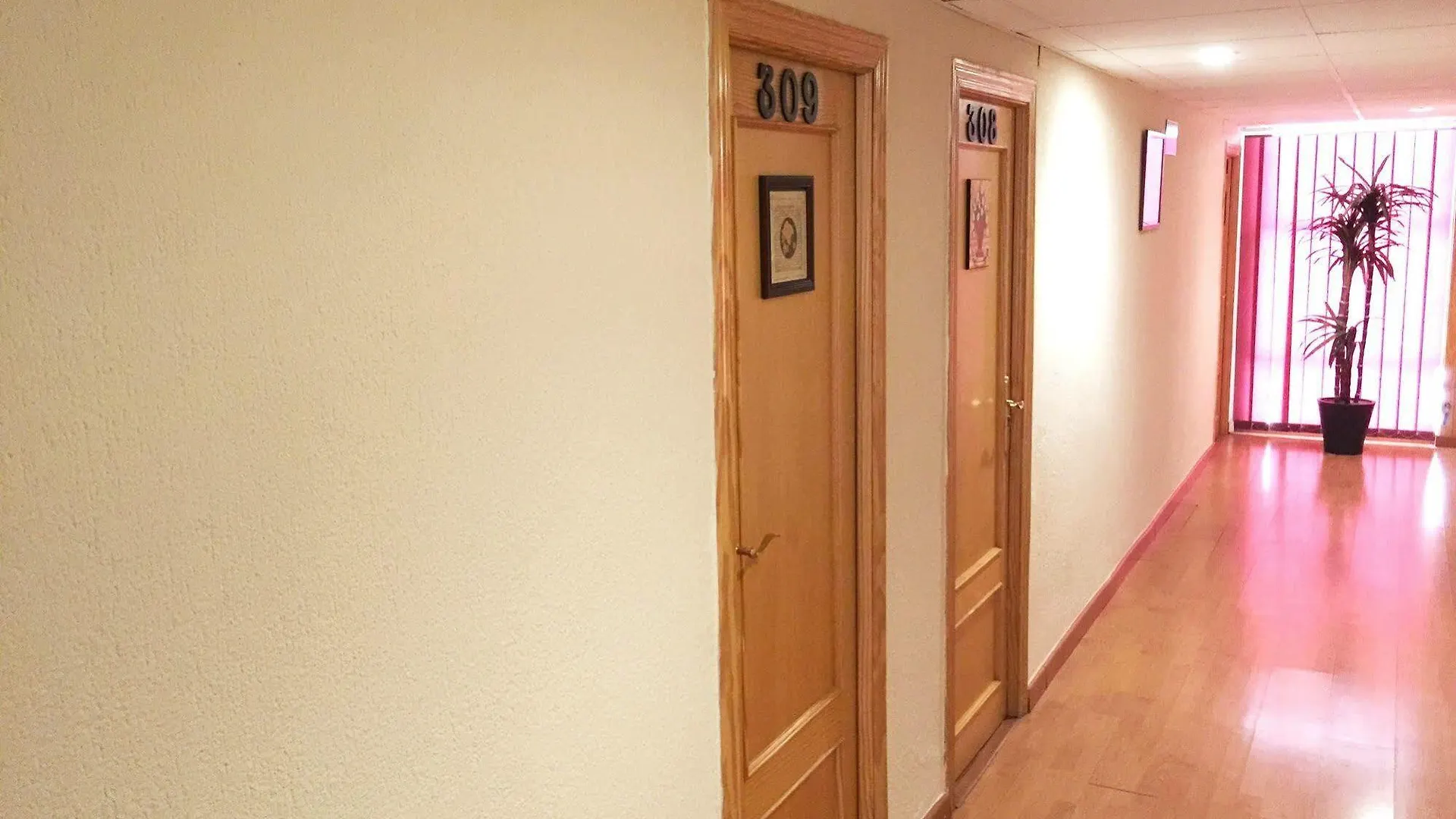 Arriadh Cordoba İspanya